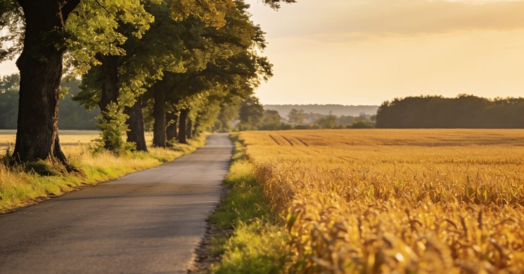 Schönerlinde: Dein Ausflugstipp für Natur und Entspannung in Berlin