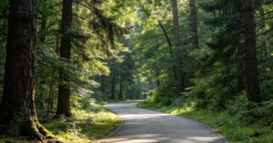 Kronprinzessinnenweg: Die schönste Radtour durch den Berliner Grunewald